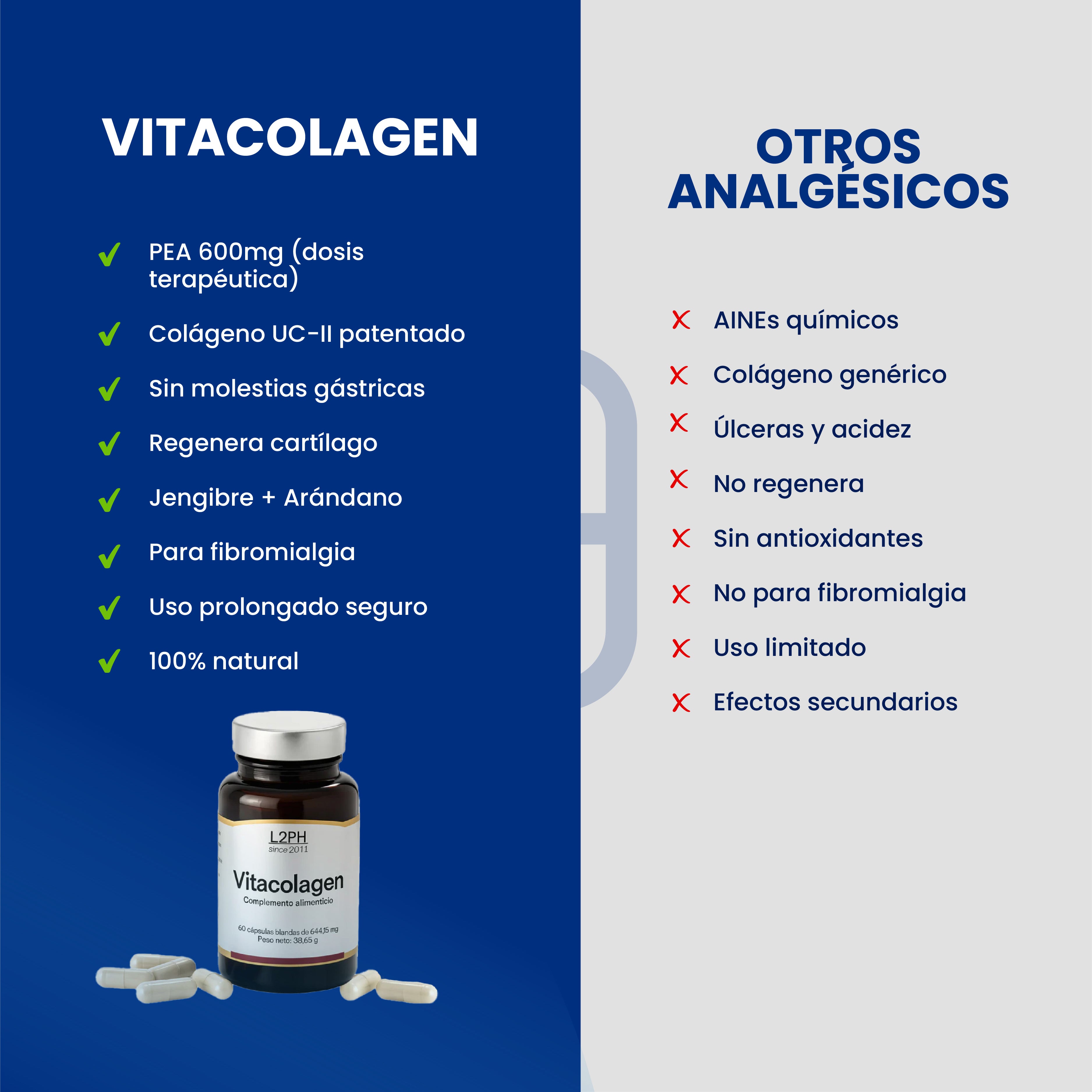 VITACOLAGEN (60 caps)  | Analgésico-antinflamatorio 100% NATURAL| Colágeno UC-II | Antioxidante de Articulaciones.