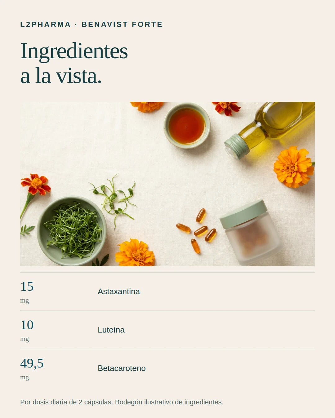 Ingredientes a la vista. 