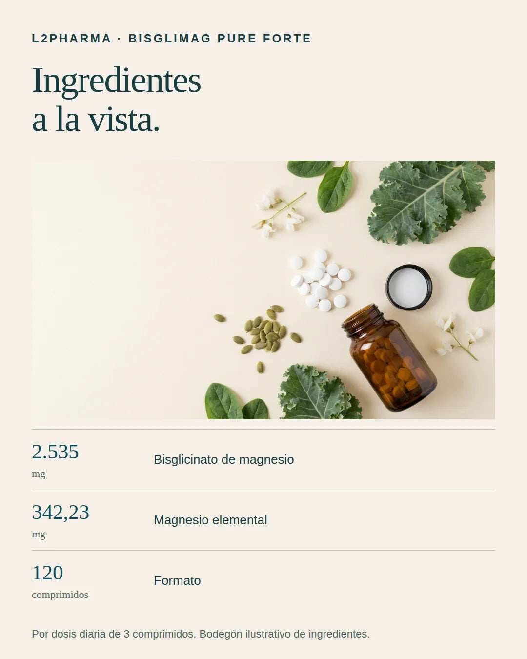 Ingredientes a la vista. 