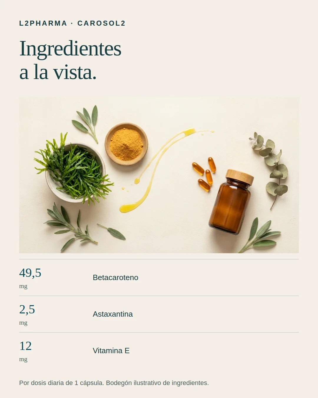Ingredientes a la vista. 