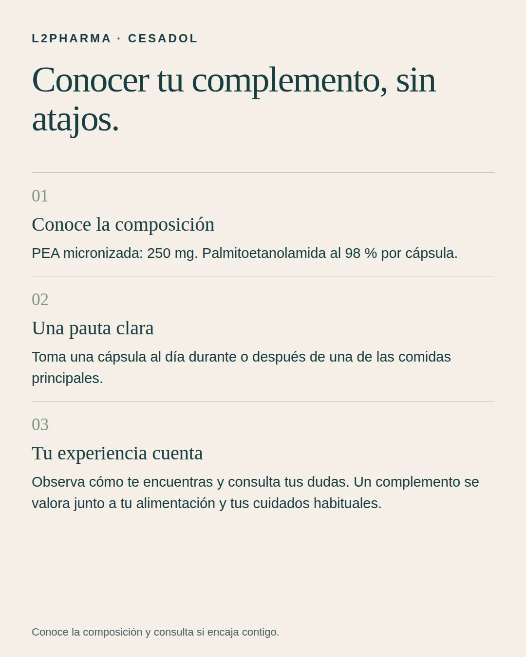 Tu punto de partida. 