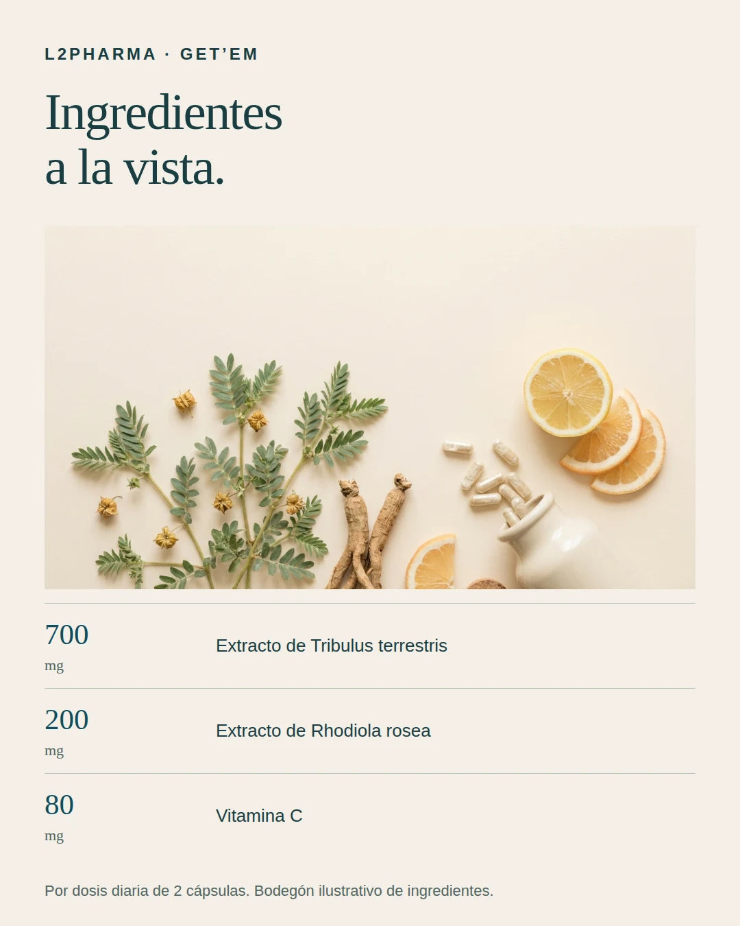 Ingredientes a la vista. 