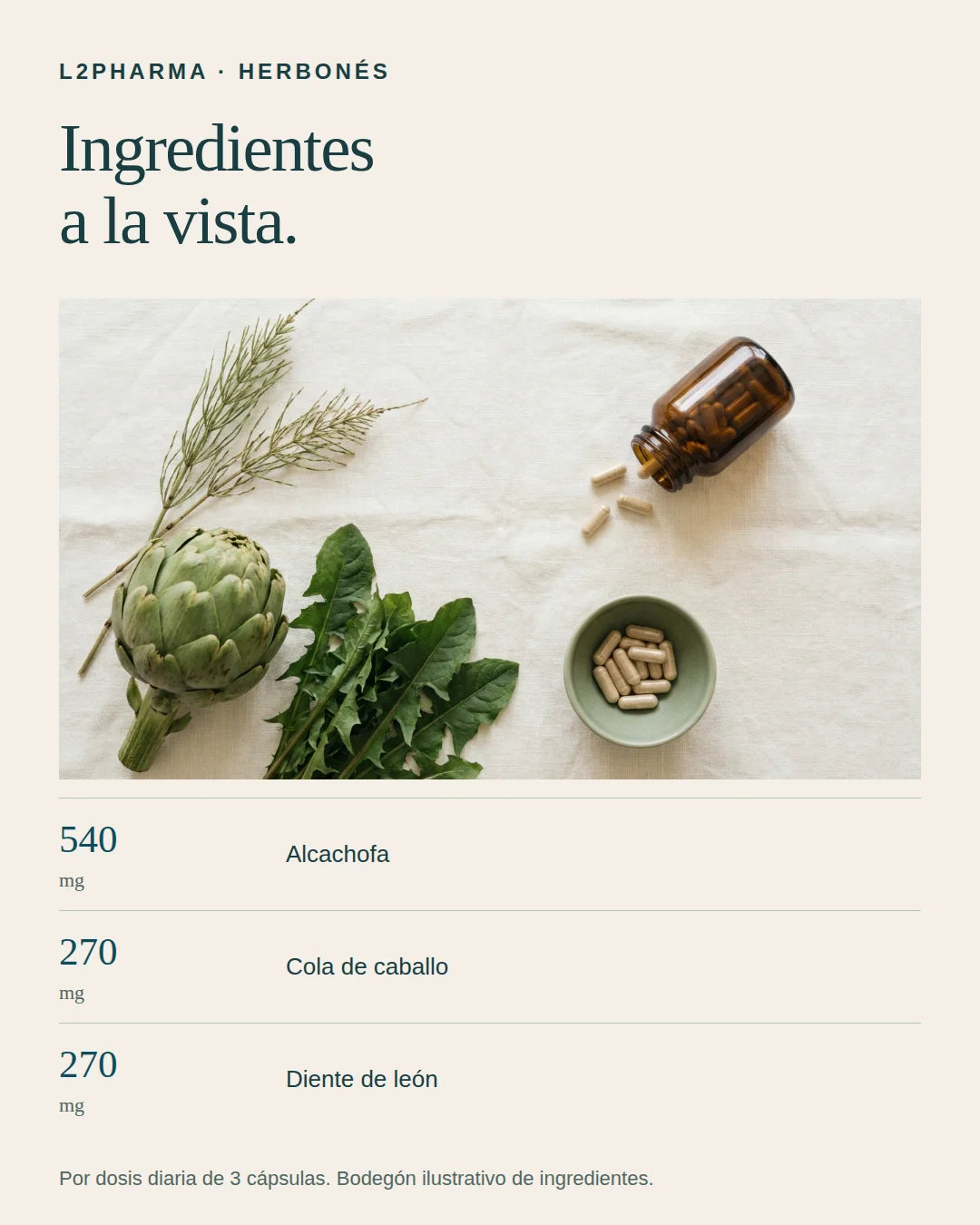 Ingredientes a la vista. 