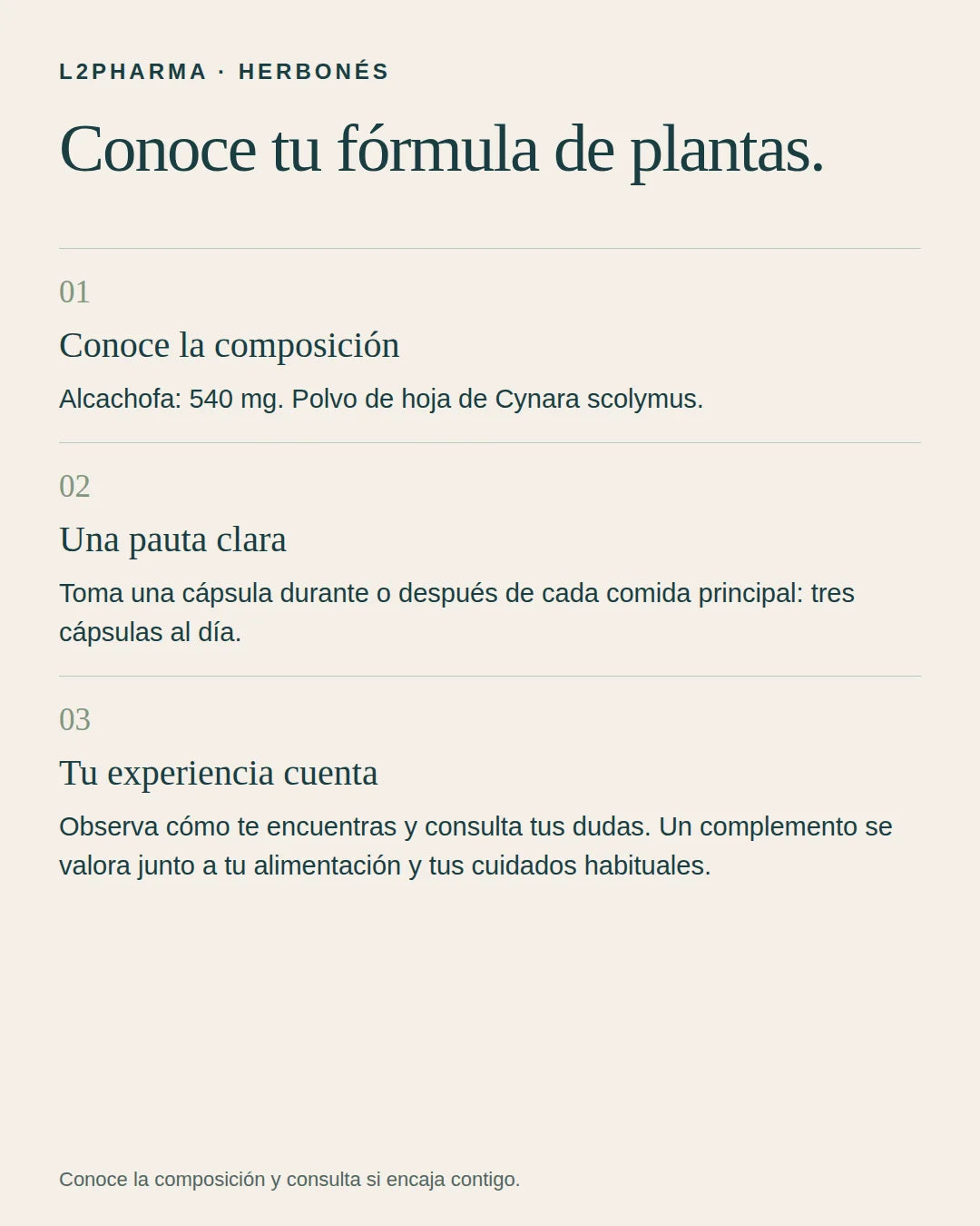 Tu punto de partida. 