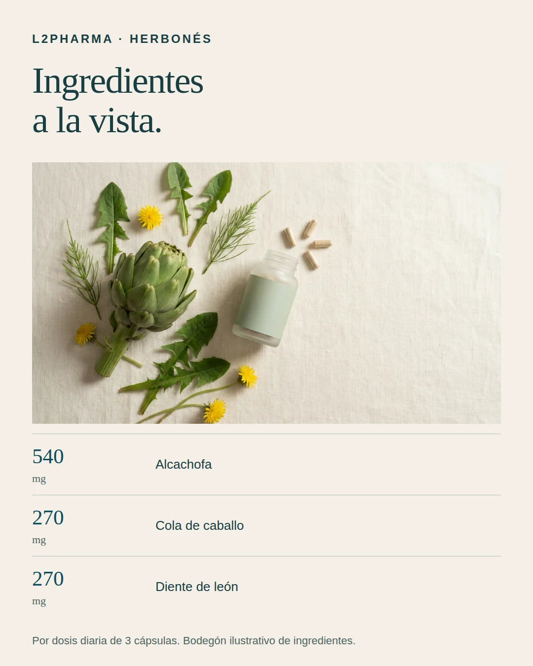 Ingredientes a la vista. 