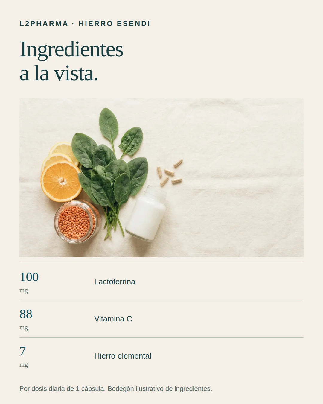 Ingredientes a la vista. 