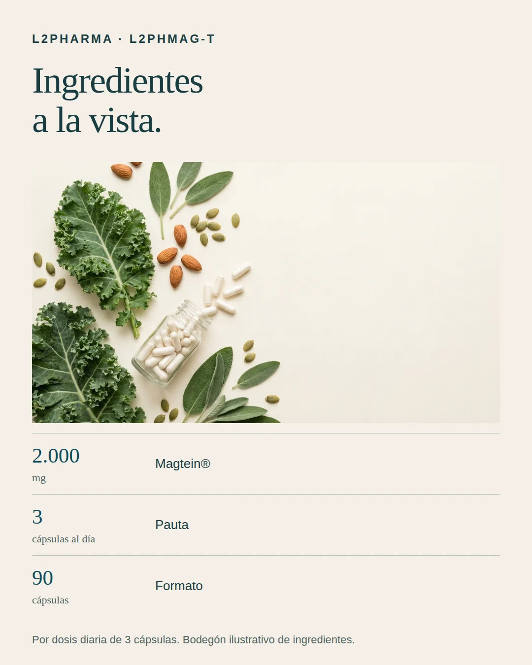 Ingredientes a la vista. 