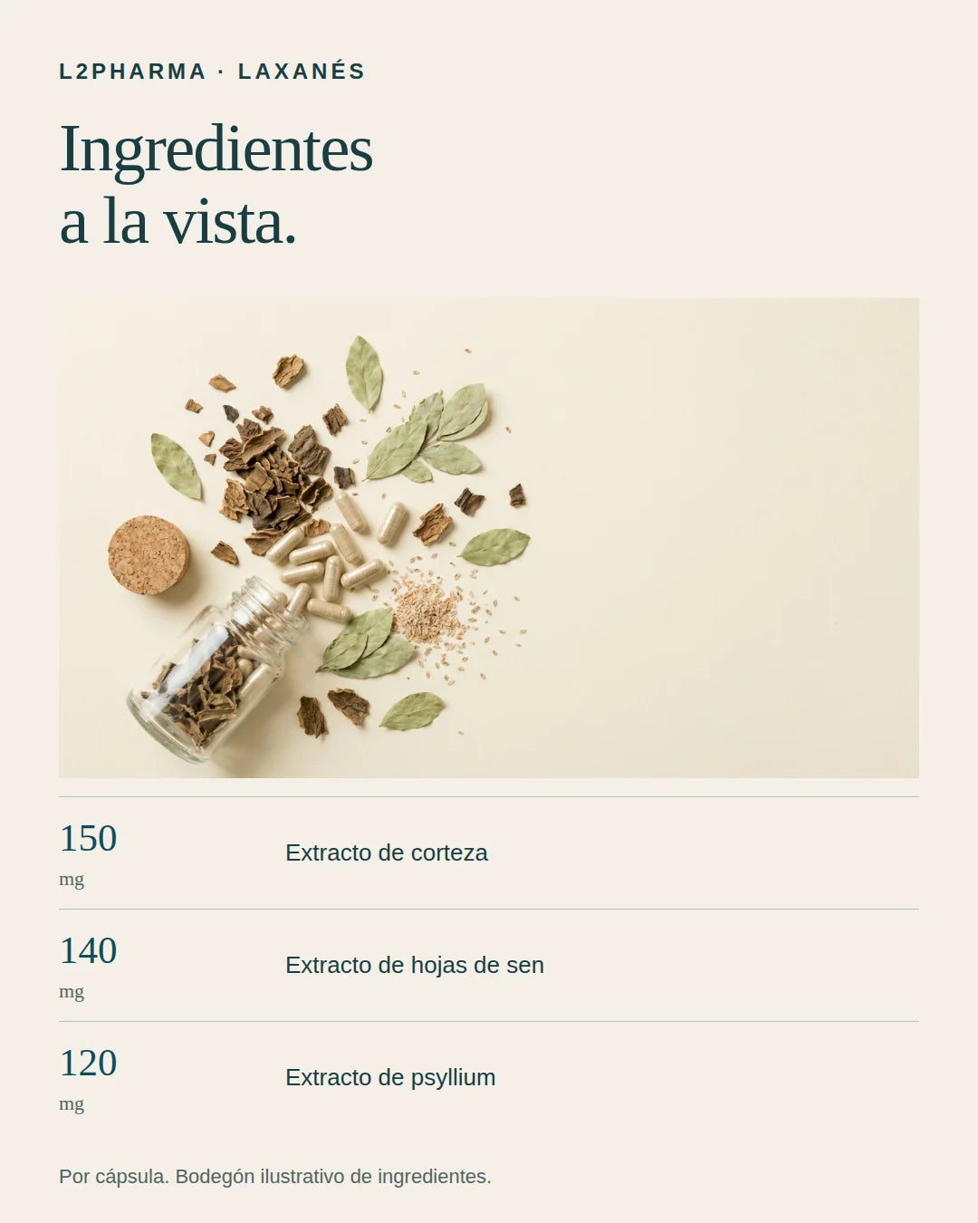 Ingredientes a la vista. 