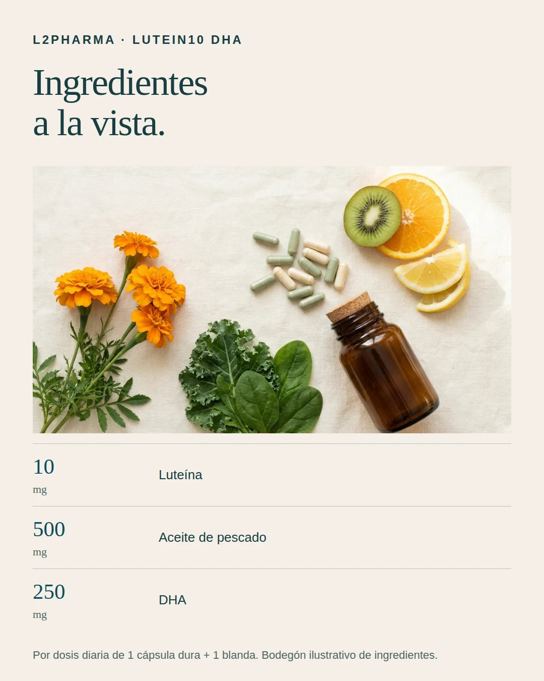 Ingredientes a la vista. 