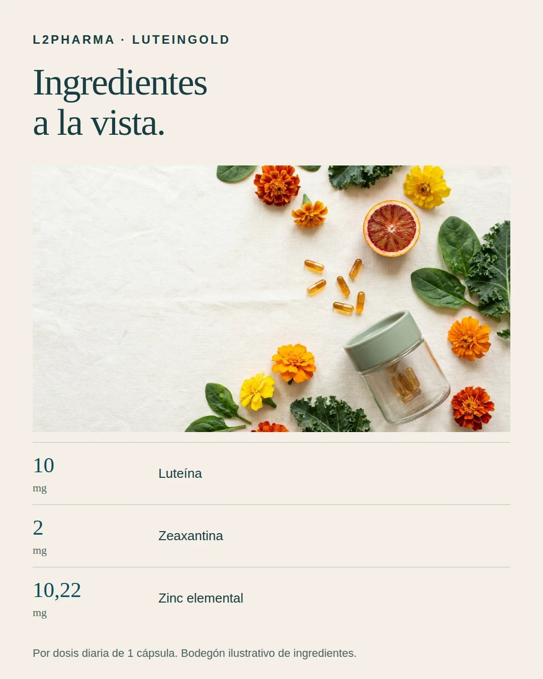 Ingredientes a la vista. 