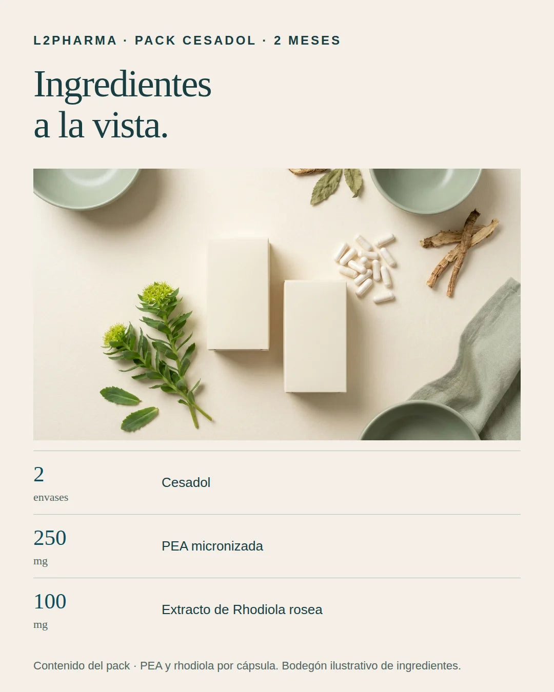 Ingredientes a la vista. 