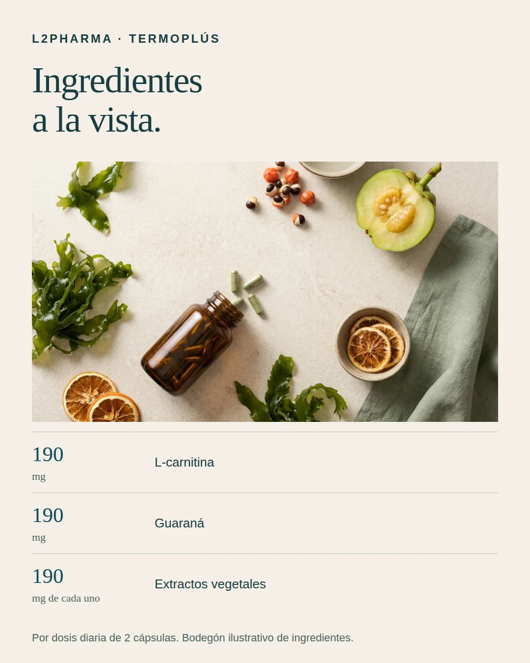 Ingredientes a la vista. 