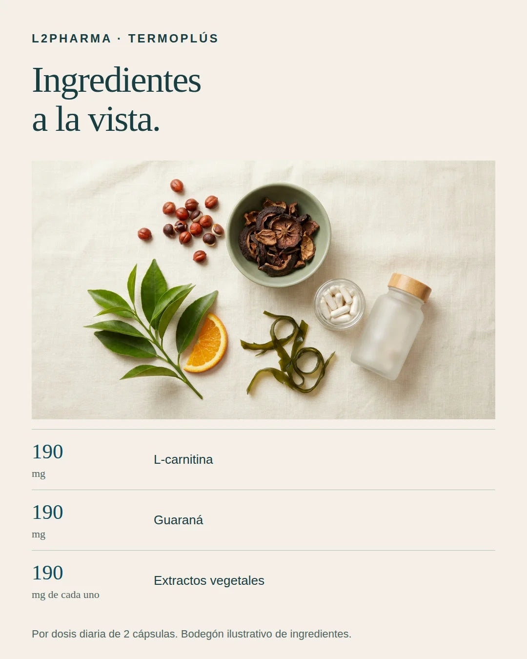 Ingredientes a la vista. 