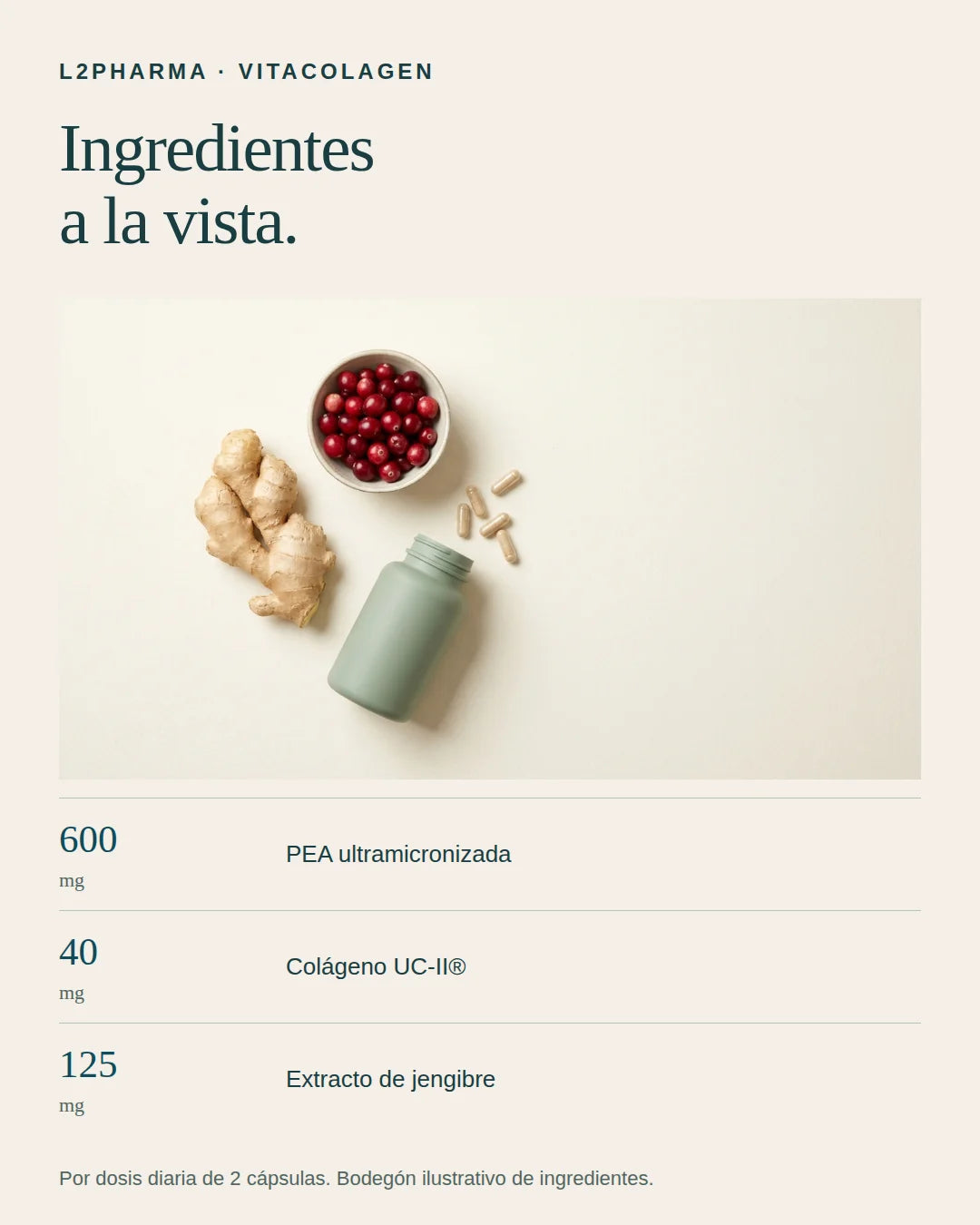 Ingredientes a la vista. 