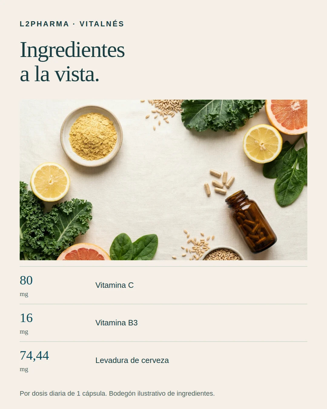 Ingredientes a la vista. 